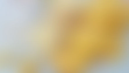 Surinaamse maizenakoekjes vs custardkoekjes