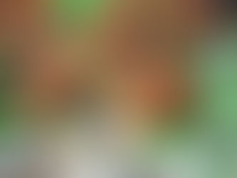 Honing gezoete muesli koeken