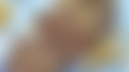 De allerlekkerste kruidkoek met speculoostopping