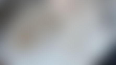 Hoe maak je Royal Icing met eiwitpoeder