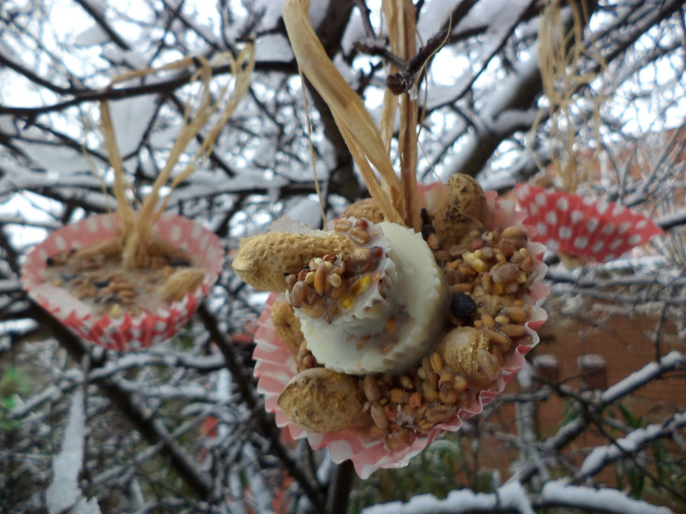 cupcakes voor de vogels
