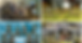 Figure 7 | From left to right: Warmachine, Bolt Action, Infinity & Star Wars) | Google