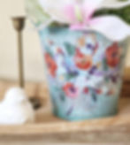 Thumbnail: Brilliant Blooms H2O transfer