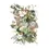 Thumbnail: Anthurium
