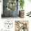 Thumbnail: Anthurium