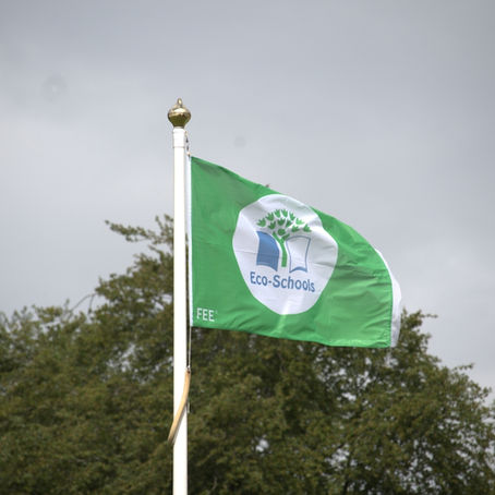 Prince’s Mead Awarded Eco‑Schools Green Flag with Distinction for Third Consecutive Year