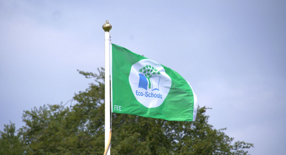 eco-schools flag at prince's mead