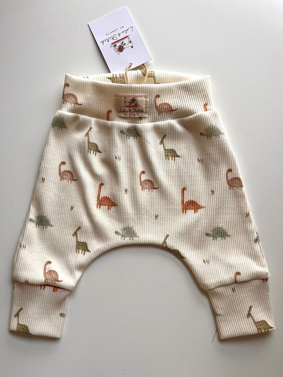 Dinosaur Print Baby Trousers