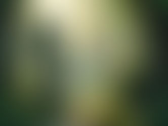 Suomen Pietistikirkko tarjoaa Raamattuun sidotun vaihtoehdon. Kuva: Suomen Pietistikirkko.