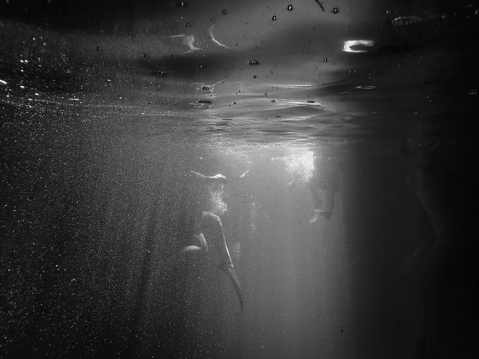 pexels-francesco-ungaro-2289407_bw.jpg