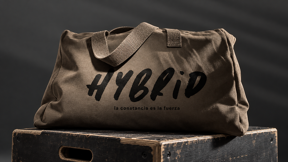 hybrid_bolsa.png