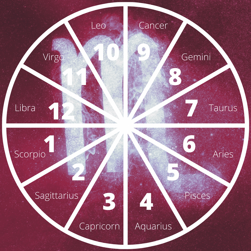 Scorpio rising astrology wheel with the Scorpio glyph in the background.