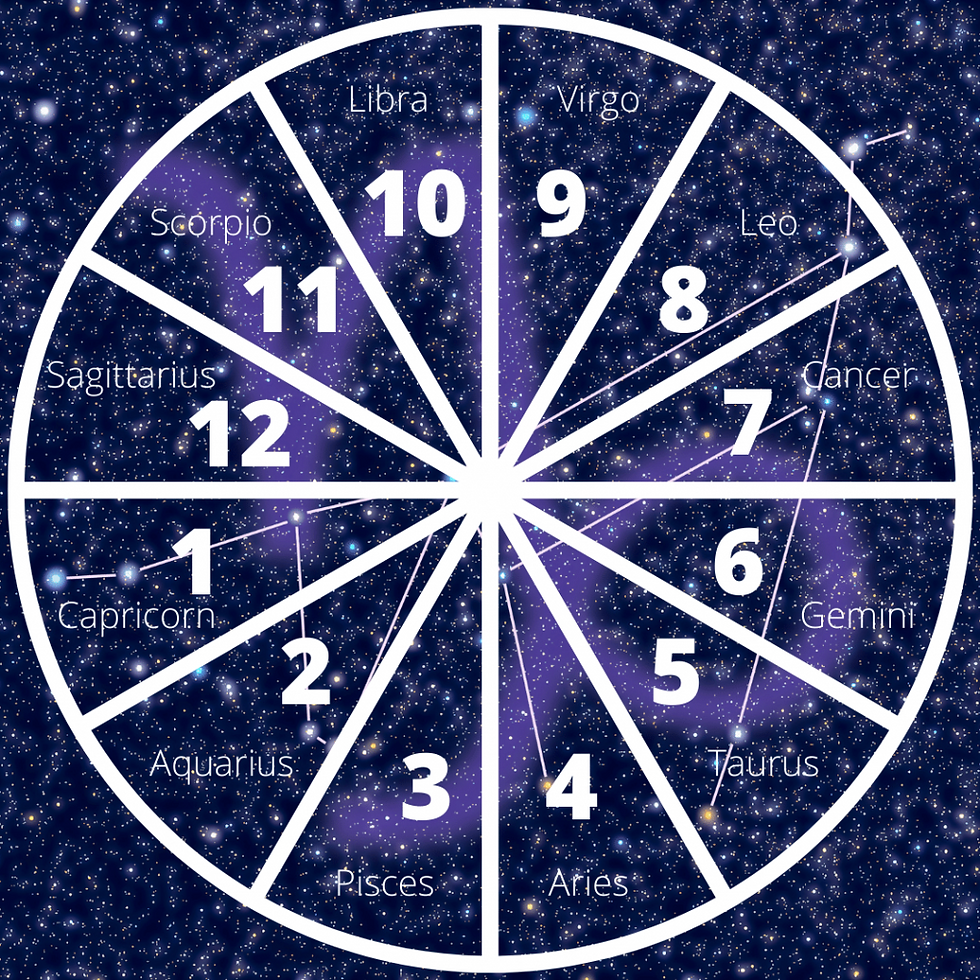 Capricorn rising astrology wheel with the Capricorn sign in the background.