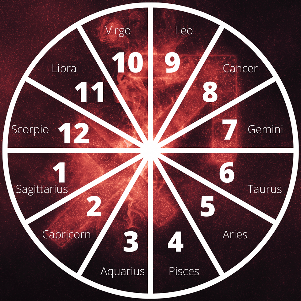 Sagittarius astrology wheel with the Sagittarius glyph in the background.