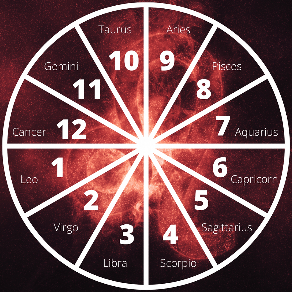 Leo rising astrology wheel with the Leo glyph in the background.