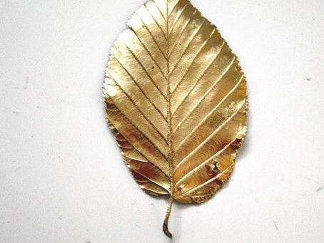 Wisdom Leaf