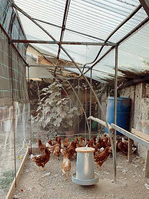 7A9F111B-26FB-42DD-AE0F-151BF88CFB0E_Ori