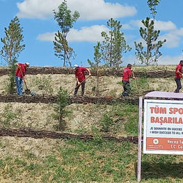 Afyon Motorsporları merkezine 1000 ağaç daha dikildi..