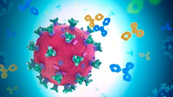 Covid-19: The secret is in your cells – how the body can protect you from getting sick with Omicron