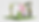 Exhibition_Mockup_1.png