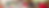 web cover.png