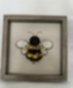 honey bee shadow box
