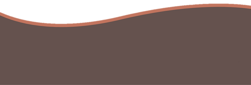 BARRA INFERIOR SITE VECTOR.png