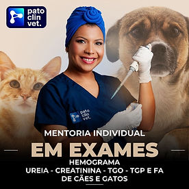 mentoria_dra_amanda.jpg