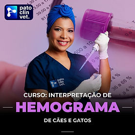 hemograma_dra_amanda.jpg