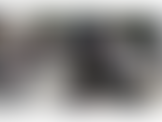 Are Ukrainian vigilantes rising up against the Kiev regime?