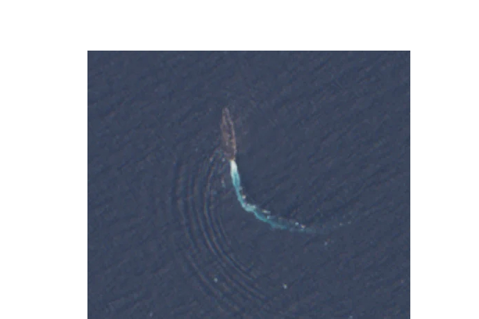 UPDATED 12:55 PM -- BAIT ! ! ! USS Abraham Lincoln Moved Within Range of Iran Missiles; NO DESTROYER ESCORTS