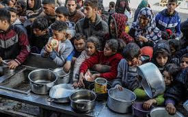 EIGHT WEEKS TO EMPTY SHELVES. SIXTY DAYS TO FAMINE. WHAT CAUSED IT, AND WHAT YOU NEED TO DO IMMEDIATELY!