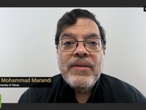 Israel desperate to wreck US-Iran ceasefire – professor 