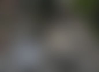 Israel Suffers Significant Casualties in Iran War Retaliation