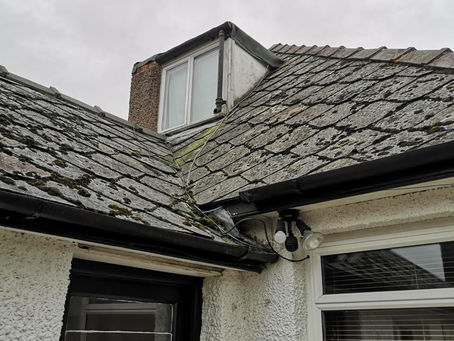 Transforming a 1940s Dormer Bungalow: A Success Story on Ferndale Road