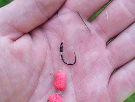 Fake hookbaits are dangerous to wildlife