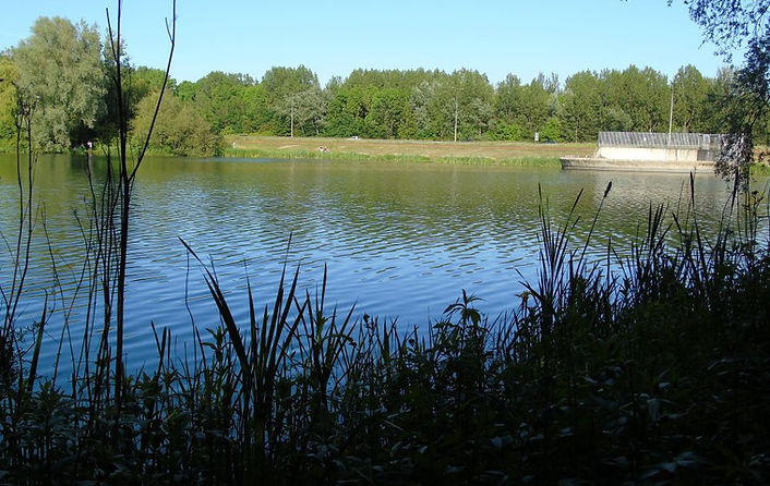 Telford_Angling_Association_Holmer_Lake_8.jpg