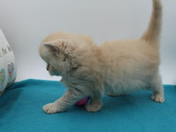 180211-OMALLEY-5se-IMG_7307