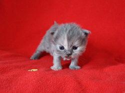 180128-Odyssée-3 semaines