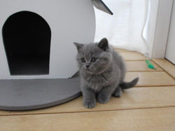 180304-Olympe-8se-IMG_8059