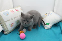 180225-Odéon-7se-IMG_7653