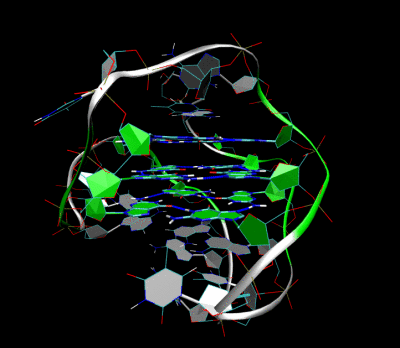 Telomer-structure.gif_20071227134644.gif