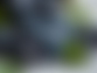 Oral Antioxidants for Sun Protection: Mechanisms and Evidence