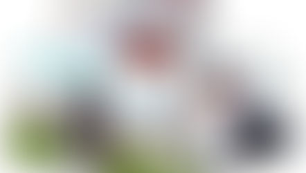 Area 12 Summer Dressage Qualifiers - Yeovil showground 