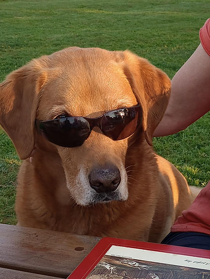 Merlin wearing glasses for T&Cs