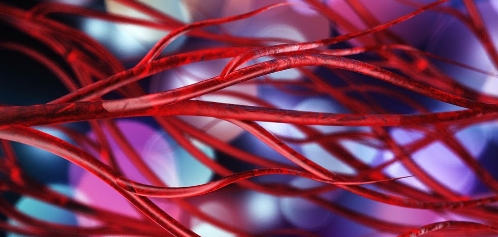 AdobeStock_244000544.jpeg