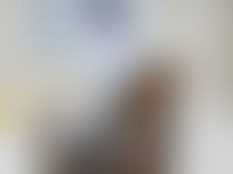 A Sparkly but Successful Start to the Show Jumping Season