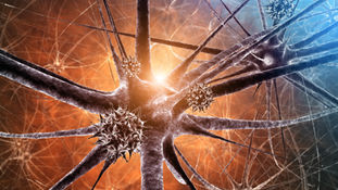 4 Ways To Reduce Nervous System Overload