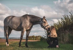 What you can look forward to in 2024