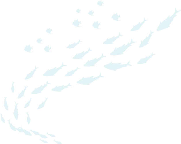 Healthy fish swim free in a clean ocean from sustainable practices